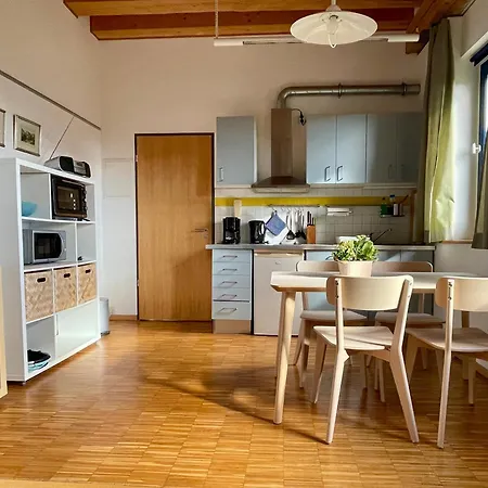 Alte Scheune Rietzschelhof Apartment Muglitztal