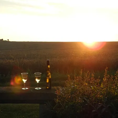 Lägenhet Alte Scheune Rietzschelhof