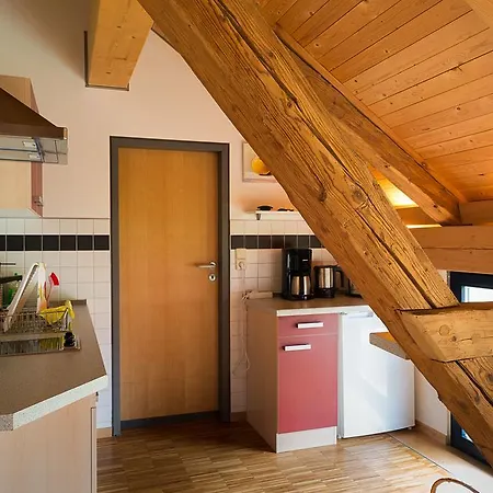 Alte Scheune Rietzschelhof Apartment Muglitztal
