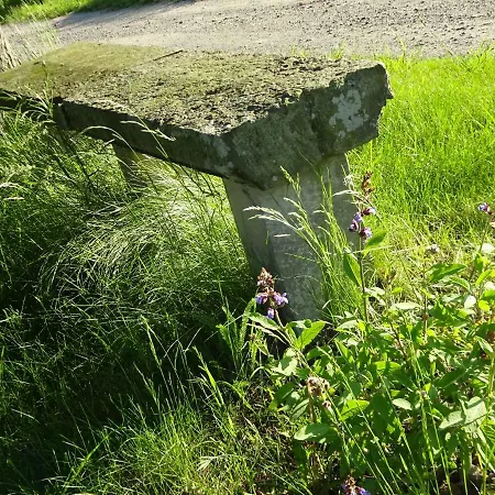 شقة Alte Scheune Rietzschelhof Mit Pool Muglitztal