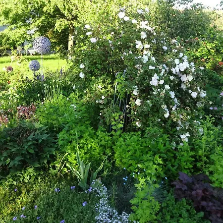 Alte Scheune Rietzschelhof Lägenhet