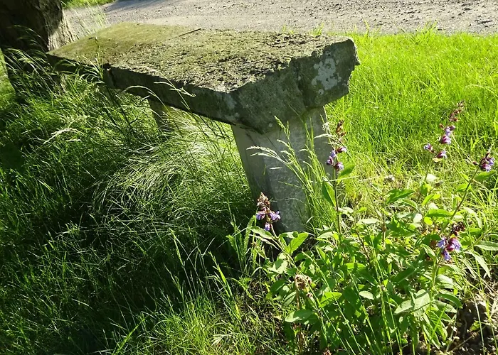 아파트 Alte Scheune Rietzschelhof Mit Pool Muglitztal