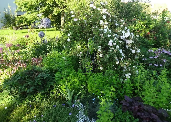 Alte Scheune Rietzschelhof Mit Pool Appartamento